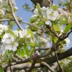 Vacances de printemps - 16 au 20 avril 2018