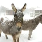 Vacances d'hiver - 26 février au 2 mars 2018