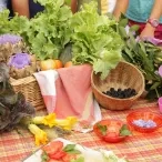 Vacances d'été - 17 au 21 juillet 2017