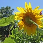 Vacances d'été - 18 au 22 juillet 2016