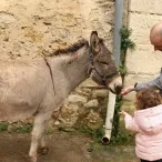 Matinée Parents 02-04-2016