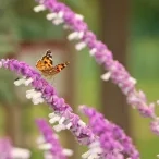Vacances d'automne - 24 au 28 octobre 2022