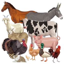 Illustration d'animaux de la ferme