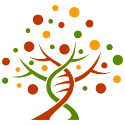 Illustration d'un arbre phylogénétique à partir d'une double hélice d'ADN