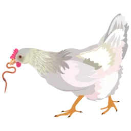 Illustration d'une poule tenant un ver de terre dans son bec