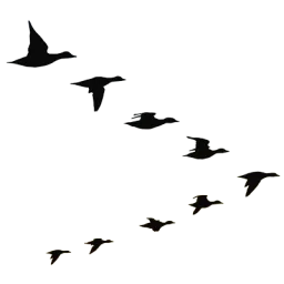 Illustration 9 silhouettes de canards en vol en formation en V