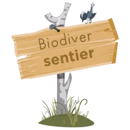 Illustration d'un panneau en bois sur lequel est marqué « Biodiver sentier », cloué sur une branche plantée dans un sol enherbé