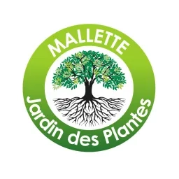 Illustration d'un arbre qui a beaucoup de feuilles vertes et de longues racines