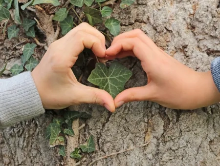 Deux mains d'enfants en forme de cœur entourent une feuille de lierre sur un tronc d'arbre