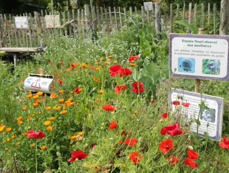 Jardin fleuri avec des panxeaux d'informations