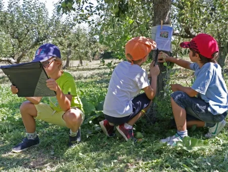 Dans le verger, deux enfants regardent un panneau sur un tronc d'arbre et un autre regarde un porte-bloc