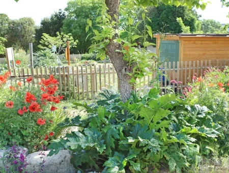 Rocaille fleurie devant un potager avec une ganivelle entourant un potager avec un abri à jardin