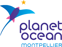 Logo de Planet Ocean Montpellier