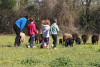 un groupe d'enfant et une adulte approchent le troupeau de mouton dans leur pré