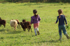 Deux enfants de dos suivent le troupeau de moutons