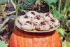 Quelques cookies sont posés sur une courge