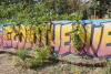 Un mur avec un tag coloré avec écrit « Écolothèque »