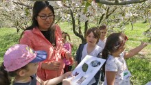 Une intervenante espagnole anime un jeu avec une classe autour des arbres fruitiers