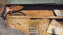 Un enfant installe des écorces de bois dans un hotel à insectes
