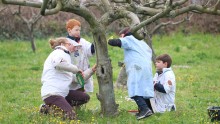 Des enfants en compagnie d'une animatrice appliquent un badigeon d'argile sur le tronc d'un arbre du verger de l'Écolothèque dans le cadre de la gestion agroécologique du domaine agicole.