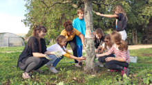 un groupe d'enfant et leur animatrice applique de l'argile sur le tronc d'un arbre du verger