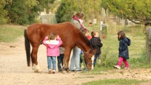 des enfants promènent un cheval