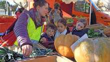 des enfant et leur animatrice observent les fruits et légumes au marché de Celleneuve