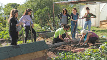 6 agents et un formateur apprenent à manipuler correctement les outils de jardinage au potager