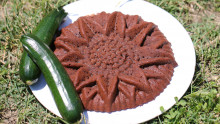 Gâteau marron et deux courgettes sur une assiette blanche posée sur de l'herbe