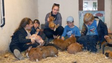 un groupe d'enfants est assis dans l'enclos des lapins et observe un lapin, porté par une animatrice