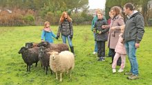Des enfants et des parents autour d'un troupeau de moutons