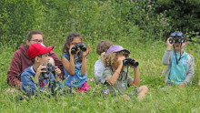 Un groupe d'enfants avec des jumelles observent les oiseaux
