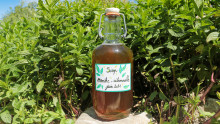 Une bouteille de sirop est posée devant des plantations de menthe