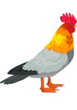 Illustration d'oiseau avec une tête de coq, un corps de pigeon et des pattes de canard