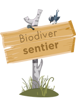 illustration d'un panneau un bois, cloué sur une branche plantée dans le sol, sur lequel est marqué « Biodiver sentier »