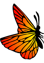 Illustration de papillon orange et jaune