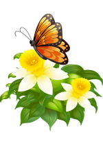 Illustration d'un papillon sur une plante avec deux fleurs blanches et jaunes