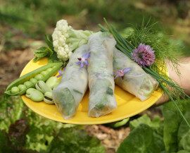 une main tient une assiette jaune dans laquelle 3 rouleaux de printemps sont disposés avec un bouquet d'herbes fraîches, du chou-fleur, des fèves et des petits pois, disposés autour