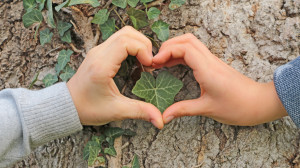 Deux mains d'enfants forment un coeur avec leurs doigts devant un tronc d'arbre