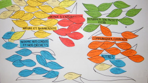 Un panneau rassemble toutes les idées des participants sous forme de feuilles d'arbre, colorées selon les thématiques 