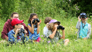 Un groupe d'enfants et leur animatrice observent des oiseaux à l'aide de jumelles
