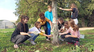 un groupe d'enfant et leur animatrice applique de l'argile sur le tronc d'un arbre du verger