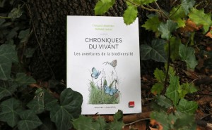 Livre "Chroniques du vivant" au sol contre un tronc d'arbre avec des feuilles de lierre et de houx