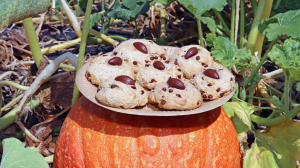 Quelques cookies sont posés sur une courge