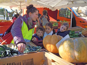 des enfant et leur animatrice observent les fruits et légumes au marché de Celleneuve