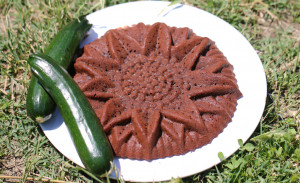 Gâteau marron et deux courgettes sur une assiette blanche posée sur de l'herbe