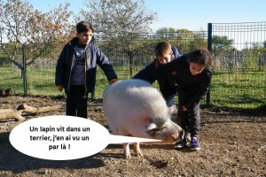 Un cochon discute avec trois enfants