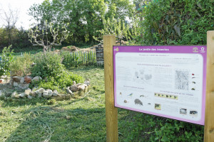 En premier plan un panneau expliquant les aménagements construits au jardin des insectes, au second plan, un jardin en spirale et un hotel à insectes
