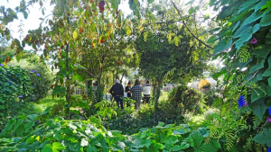 un groupe travaille dans un jardin luxuriant