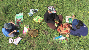 Un enfant, entouré de documents d'identification de petites bêtes, observe des insectes avec une loupe pendant que 2 autres enfants, disposant de livres sur les arbres, jouent aux cartes avec des feuilles d'arbres